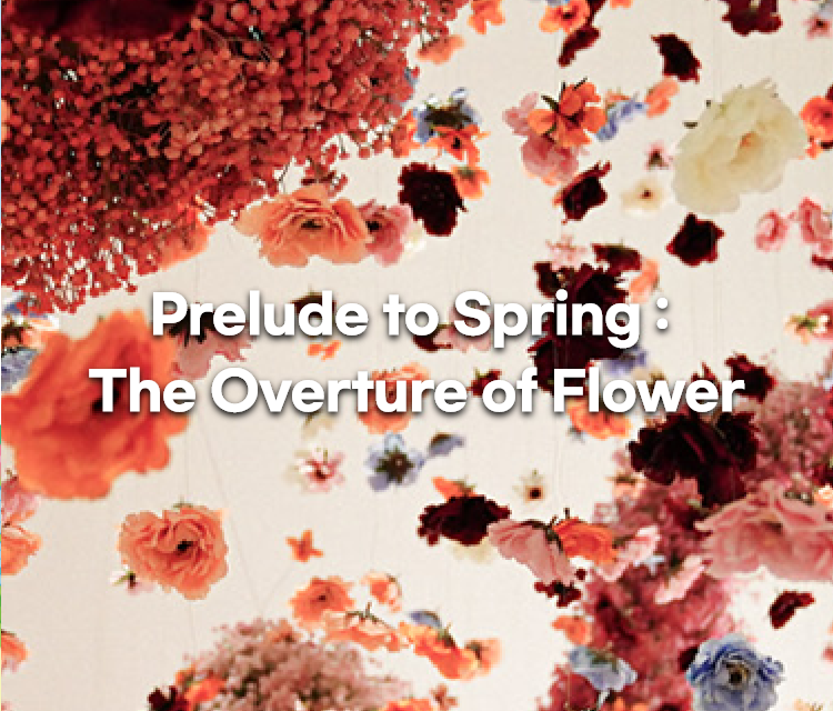 Prelude to Spring : The Overture of Flower