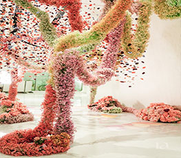 Prelude to spring_봄을 여는 꽃의 전주곡