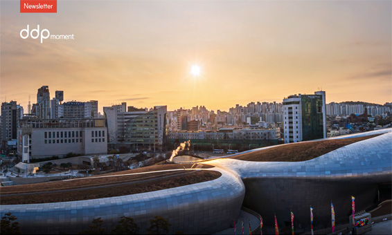 [DDP 1월 뉴스레터] 2026년, DDP의 새로운 얼굴을 만나보세요