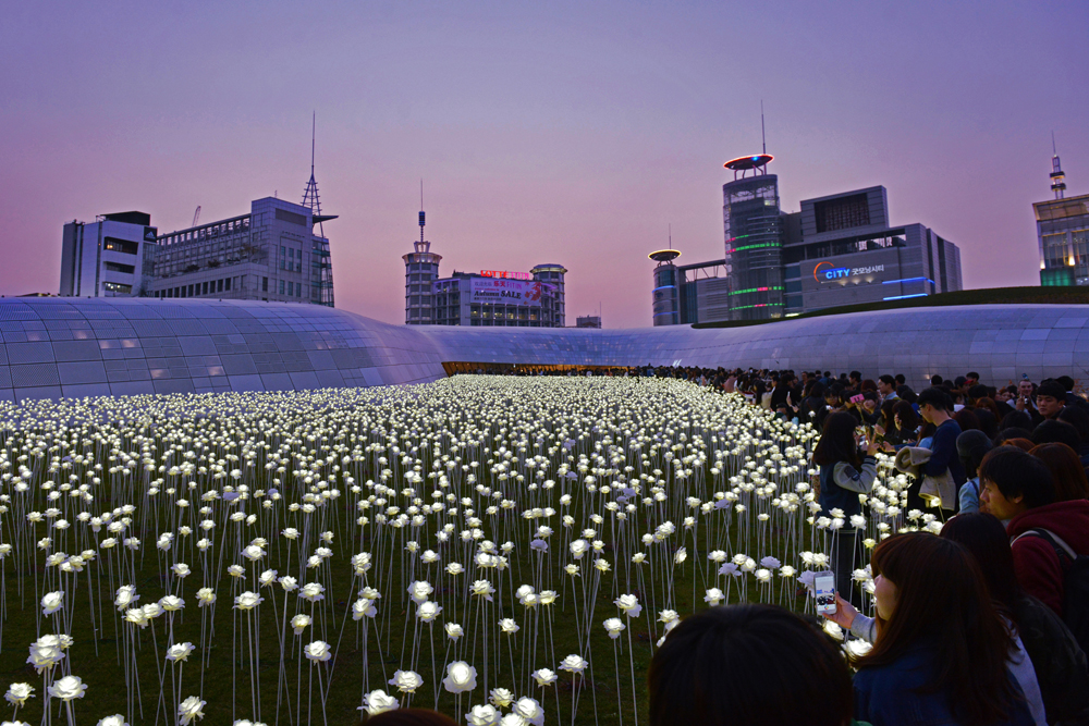 LEDバラ園