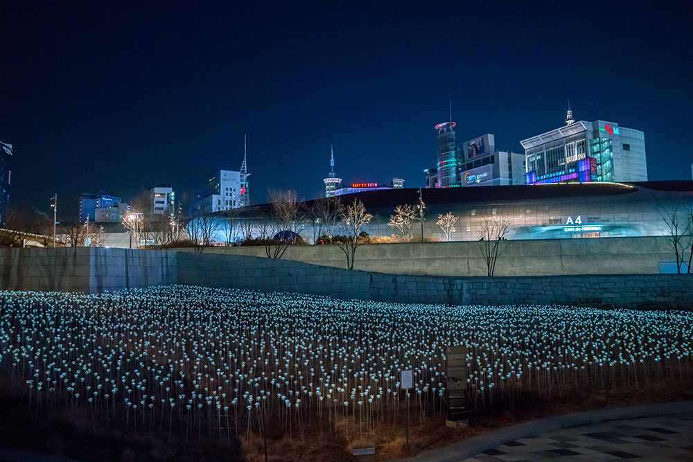 LEDバラ園