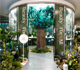 BtheB [Beauty For All]