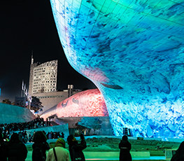 Seoul Light DDP 2025 Winter