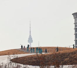 DDP 루프탑 투어